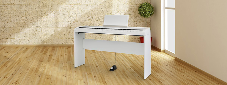 Music City – Tổng Kho Piano, Guitar, Organ | Dịch Vụ Giáo Dục Âm Nhạc