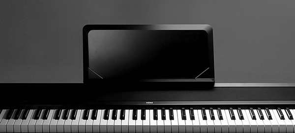 Music City – Tổng Kho Piano, Guitar, Organ | Dịch Vụ Giáo Dục Âm Nhạc