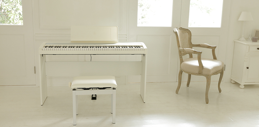 Music City – Tổng Kho Piano, Guitar, Organ | Dịch Vụ Giáo Dục Âm Nhạc
