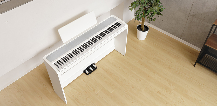Music City – Tổng Kho Piano, Guitar, Organ | Dịch Vụ Giáo Dục Âm Nhạc