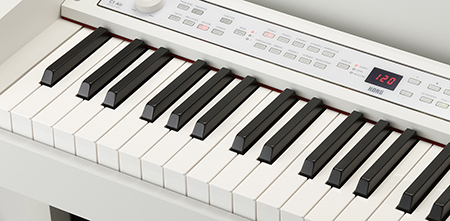 Music City – Tổng Kho Piano, Guitar, Organ | Dịch Vụ Giáo Dục Âm Nhạc