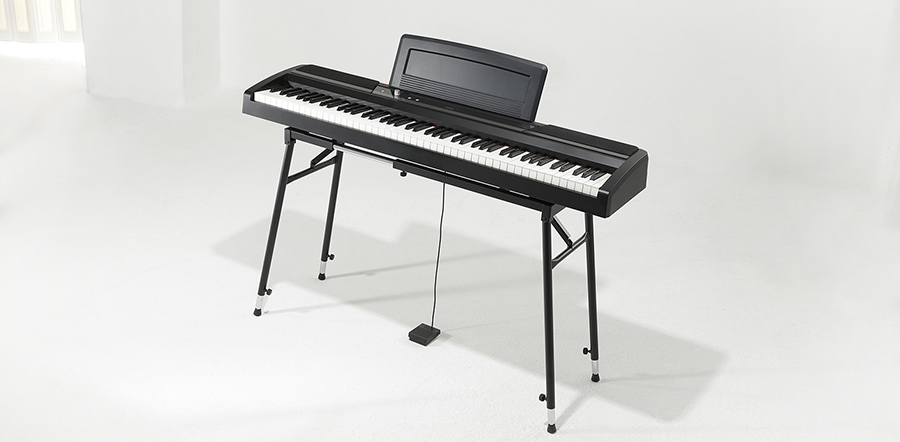 Music City – Tổng Kho Piano, Guitar, Organ | Dịch Vụ Giáo Dục Âm Nhạc