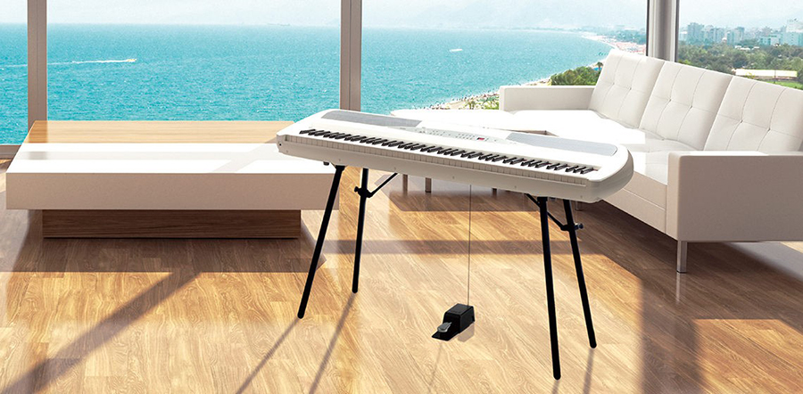 Music City – Tổng Kho Piano, Guitar, Organ | Dịch Vụ Giáo Dục Âm Nhạc