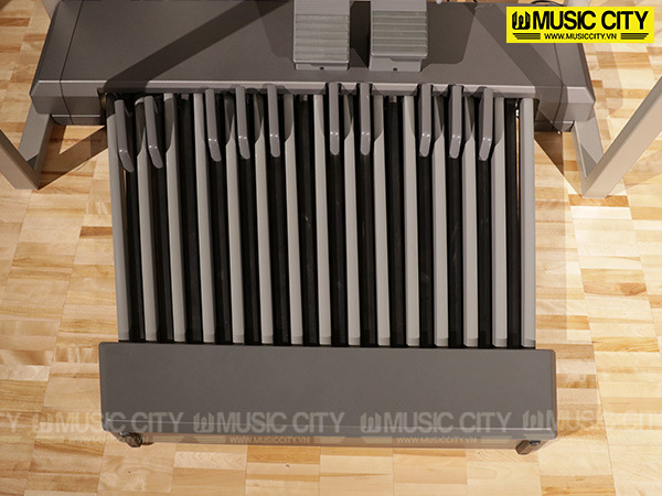 Music City – Tổng Kho Piano, Guitar, Organ | Dịch Vụ Giáo Dục Âm Nhạc