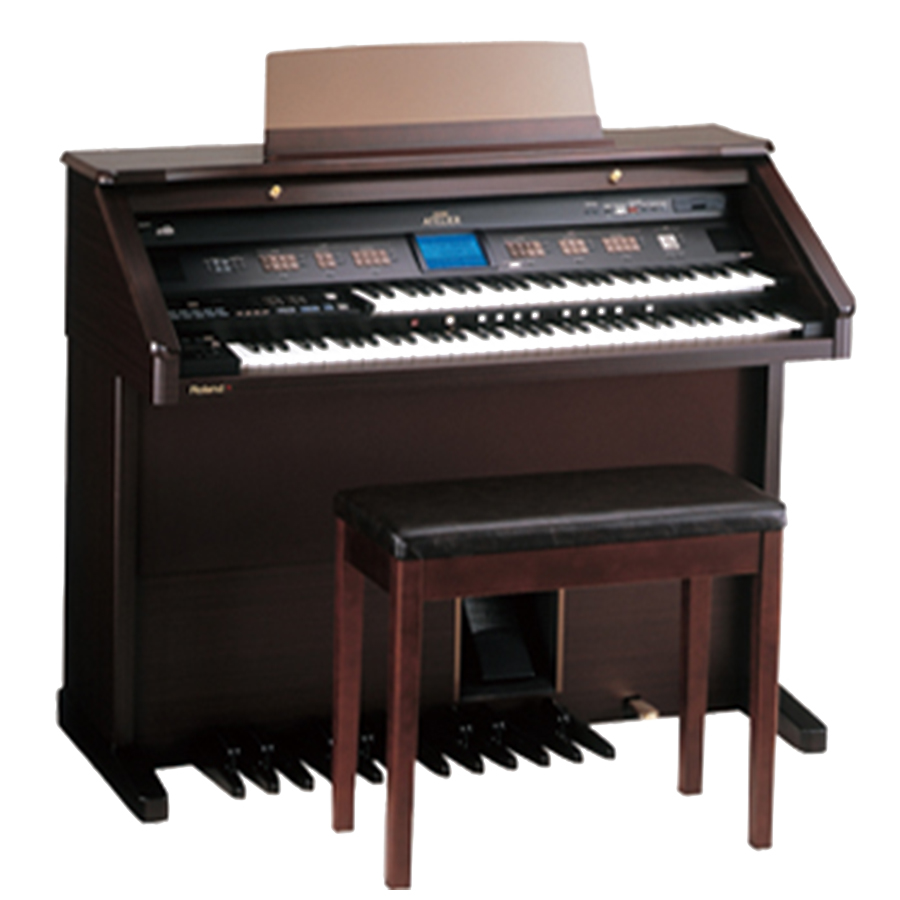 Music City – Tổng Kho Piano, Guitar, Organ | Dịch Vụ Giáo Dục Âm Nhạc