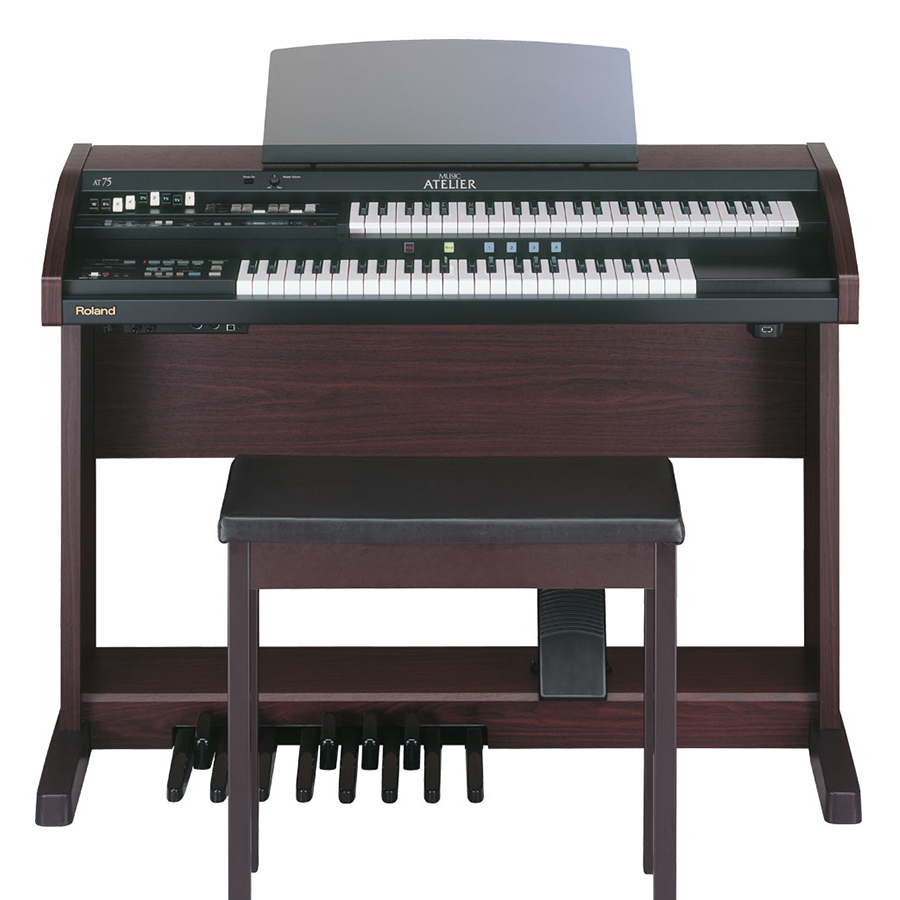Music City – Tổng Kho Piano, Guitar, Organ | Dịch Vụ Giáo Dục Âm Nhạc