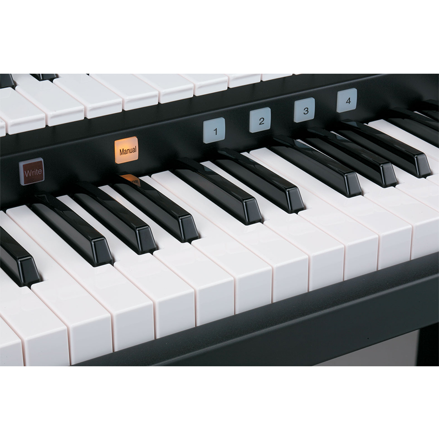 Music City – Tổng Kho Piano, Guitar, Organ | Dịch Vụ Giáo Dục Âm Nhạc