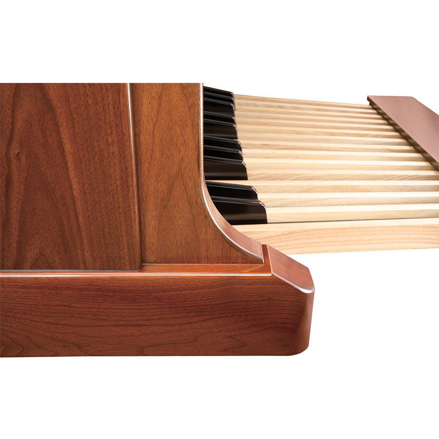 Music City – Tổng Kho Piano, Guitar, Organ | Dịch Vụ Giáo Dục Âm Nhạc