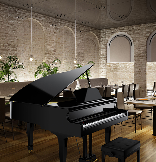 Music City – Tổng Kho Piano, Guitar, Organ | Dịch Vụ Giáo Dục Âm Nhạc