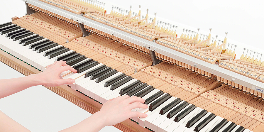 Music City – Tổng Kho Piano, Guitar, Organ | Dịch Vụ Giáo Dục Âm Nhạc
