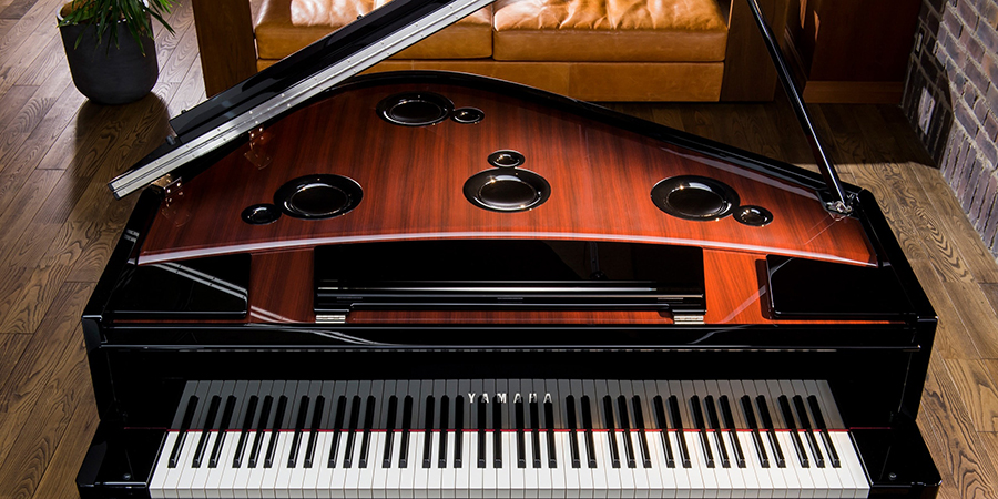 Music City – Tổng Kho Piano, Guitar, Organ | Dịch Vụ Giáo Dục Âm Nhạc