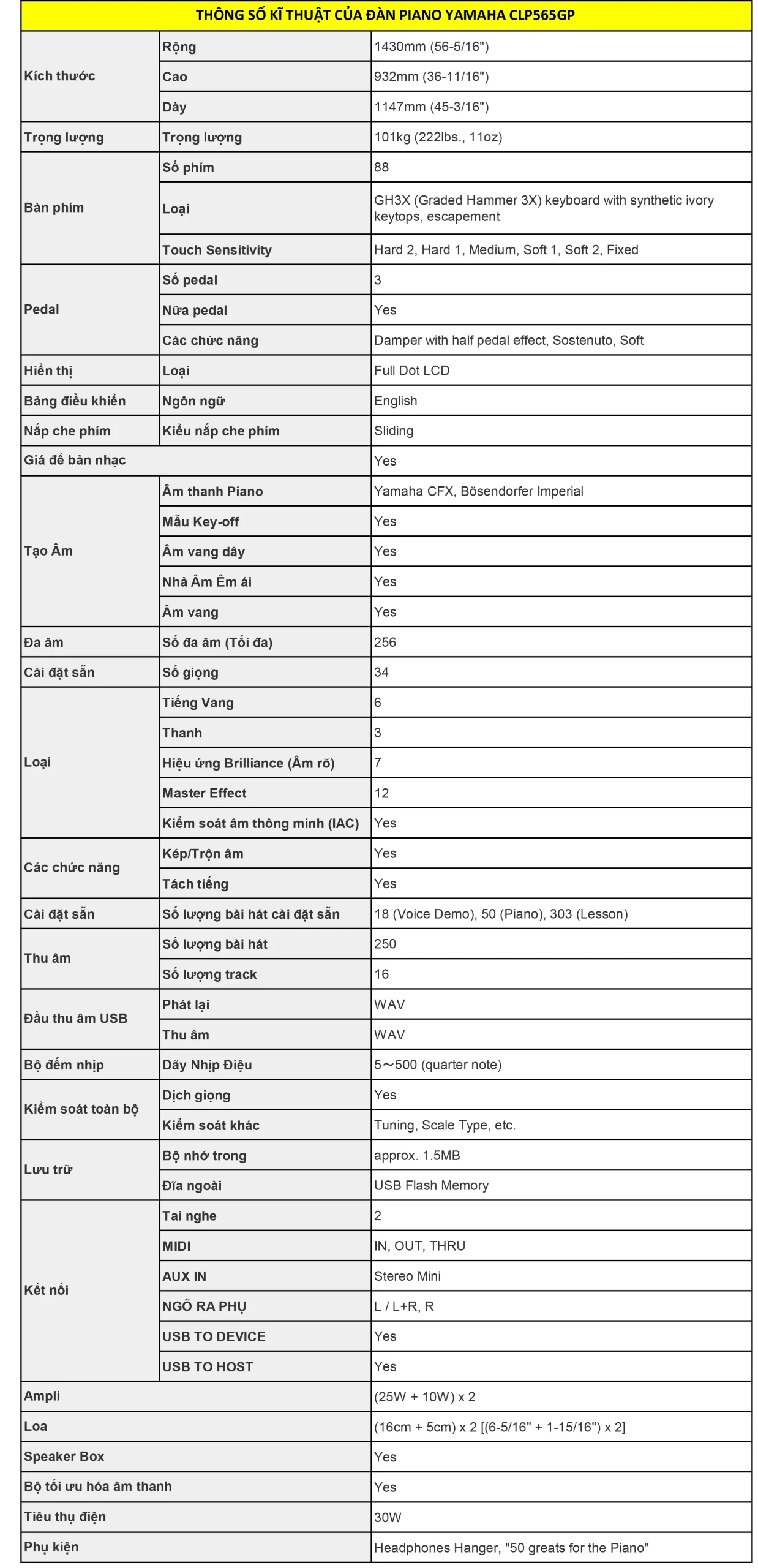 Music City – Tổng Kho Piano, Guitar, Organ | Dịch Vụ Giáo Dục Âm Nhạc