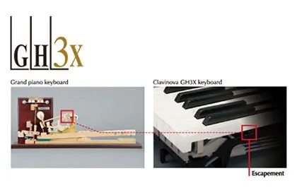 Music City – Tổng Kho Piano, Guitar, Organ | Dịch Vụ Giáo Dục Âm Nhạc