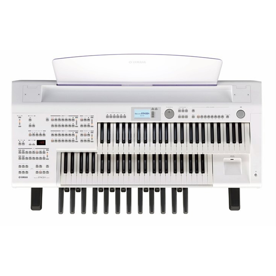 Music City – Tổng Kho Piano, Guitar, Organ | Dịch Vụ Giáo Dục Âm Nhạc