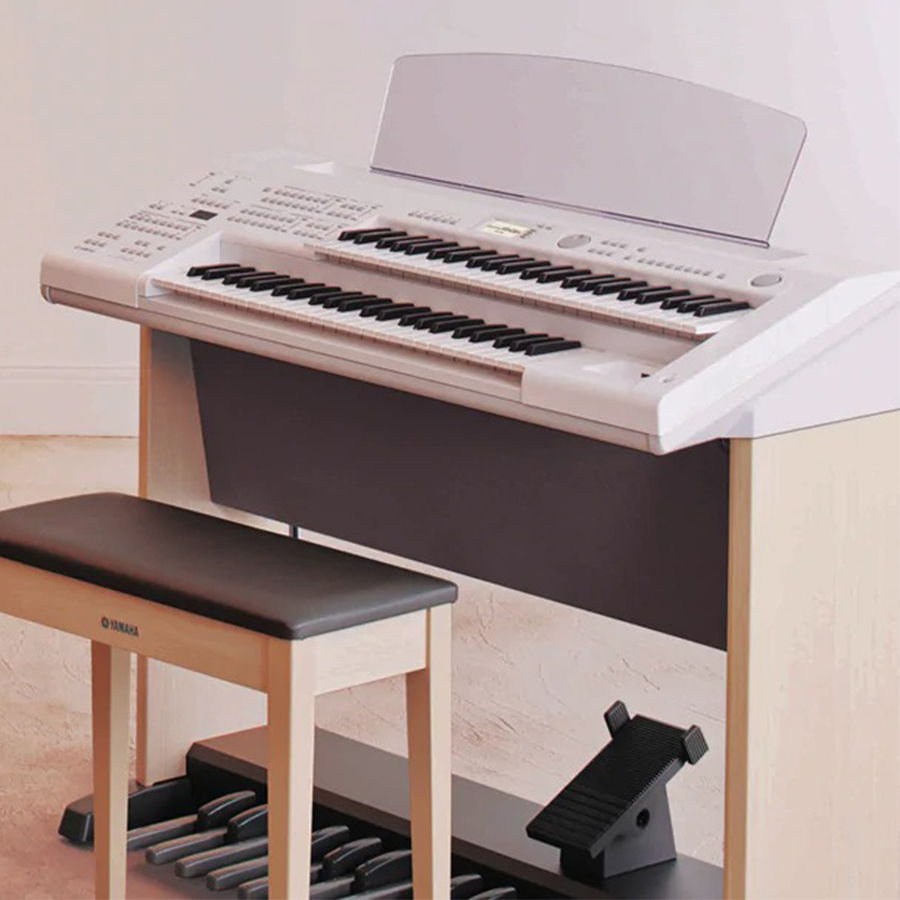 Music City – Tổng Kho Piano, Guitar, Organ | Dịch Vụ Giáo Dục Âm Nhạc