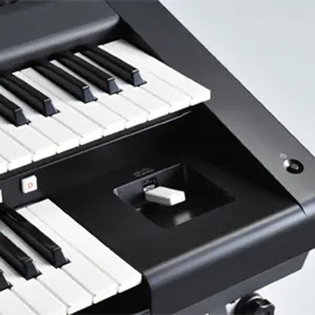 Music City – Tổng Kho Piano, Guitar, Organ | Dịch Vụ Giáo Dục Âm Nhạc
