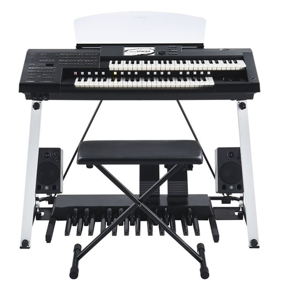 Music City – Tổng Kho Piano, Guitar, Organ | Dịch Vụ Giáo Dục Âm Nhạc