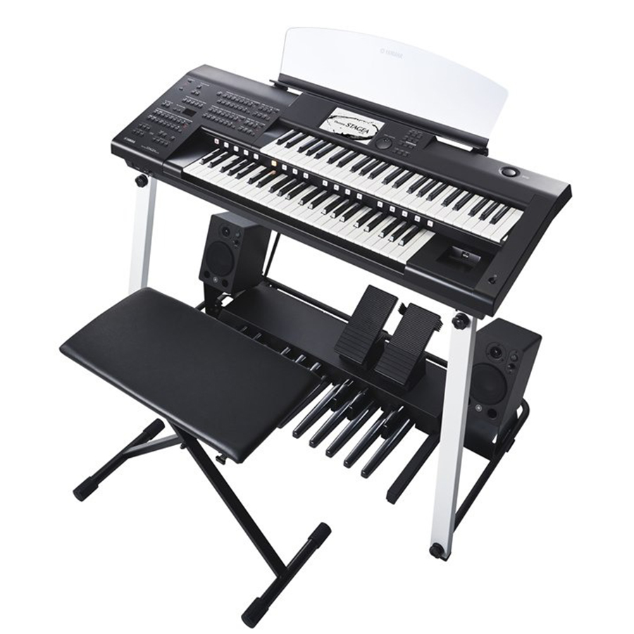 Music City – Tổng Kho Piano, Guitar, Organ | Dịch Vụ Giáo Dục Âm Nhạc