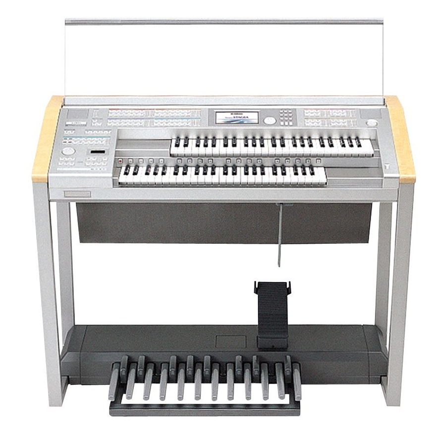 Music City – Tổng Kho Piano, Guitar, Organ | Dịch Vụ Giáo Dục Âm Nhạc