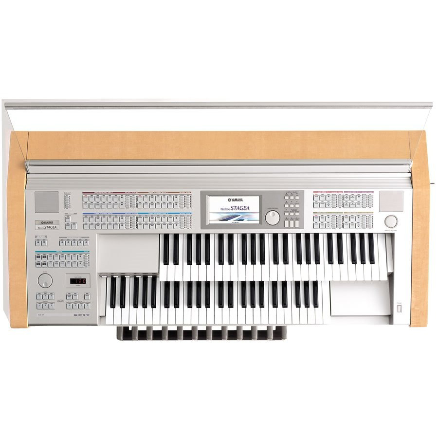Music City – Tổng Kho Piano, Guitar, Organ | Dịch Vụ Giáo Dục Âm Nhạc