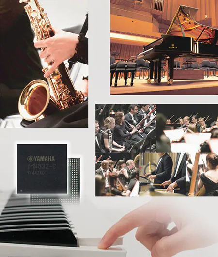 Music City – Tổng Kho Piano, Guitar, Organ | Dịch Vụ Giáo Dục Âm Nhạc