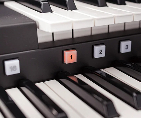 Music City – Tổng Kho Piano, Guitar, Organ | Dịch Vụ Giáo Dục Âm Nhạc