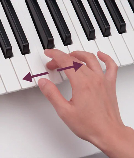 Music City – Tổng Kho Piano, Guitar, Organ | Dịch Vụ Giáo Dục Âm Nhạc