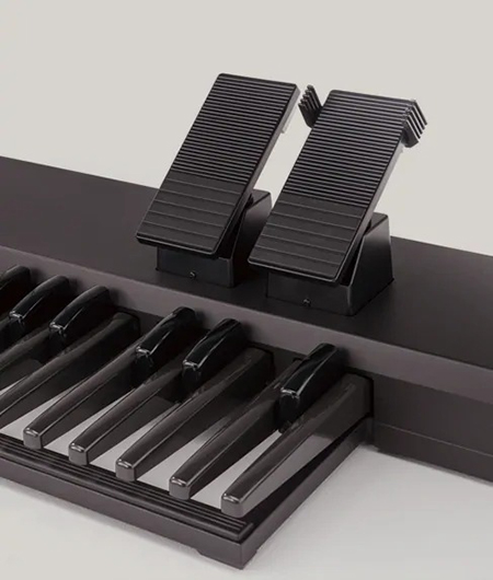 Music City – Tổng Kho Piano, Guitar, Organ | Dịch Vụ Giáo Dục Âm Nhạc