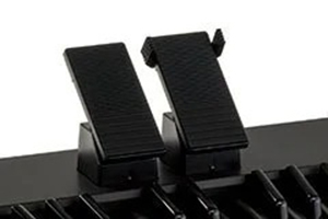 Music City – Tổng Kho Piano, Guitar, Organ | Dịch Vụ Giáo Dục Âm Nhạc