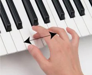 Music City – Tổng Kho Piano, Guitar, Organ | Dịch Vụ Giáo Dục Âm Nhạc