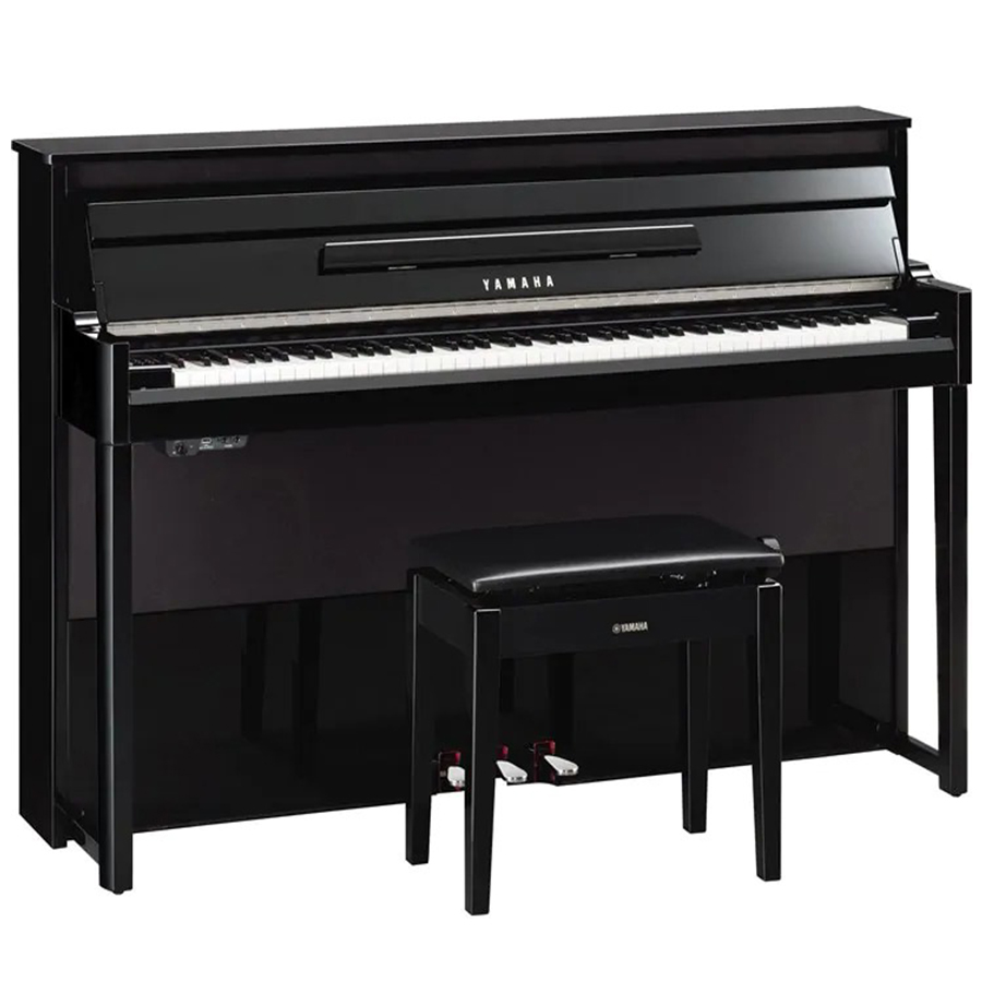 Music City – Tổng Kho Piano, Guitar, Organ | Dịch Vụ Giáo Dục Âm Nhạc