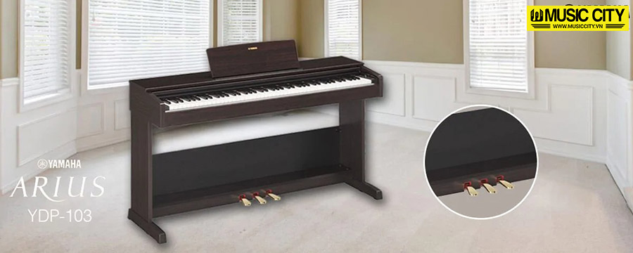 Music City – Tổng Kho Piano, Guitar, Organ | Dịch Vụ Giáo Dục Âm Nhạc