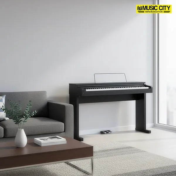 Music City – Tổng Kho Piano, Guitar, Organ | Dịch Vụ Giáo Dục Âm Nhạc