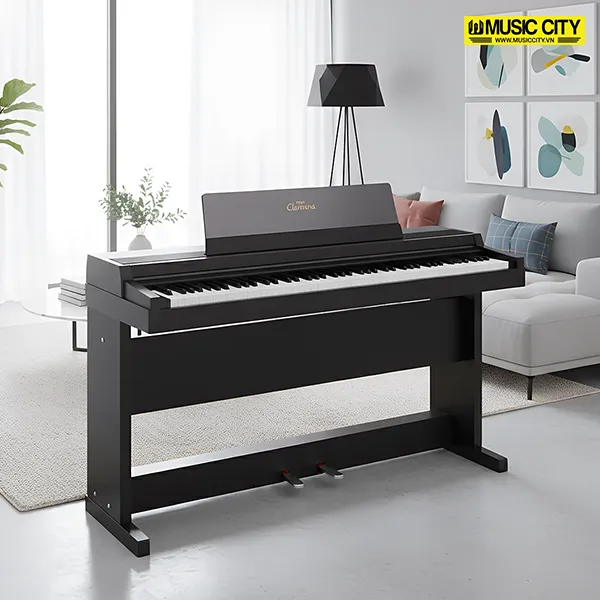 Music City – Tổng Kho Piano, Guitar, Organ | Dịch Vụ Giáo Dục Âm Nhạc