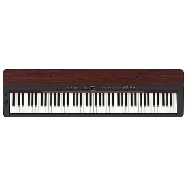 Music City – Tổng Kho Piano, Guitar, Organ | Dịch Vụ Giáo Dục Âm Nhạc