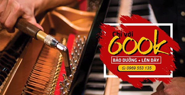 Music City – Tổng Kho Piano, Guitar, Organ | Dịch Vụ Giáo Dục Âm Nhạc
