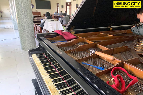 Music City – Tổng Kho Piano, Guitar, Organ | Dịch Vụ Giáo Dục Âm Nhạc