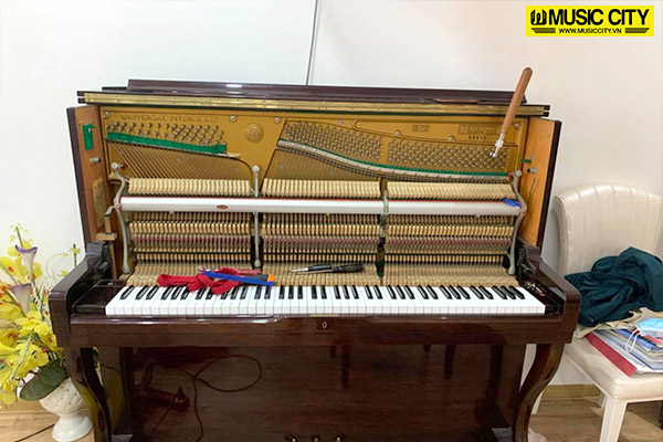 Music City – Tổng Kho Piano, Guitar, Organ | Dịch Vụ Giáo Dục Âm Nhạc