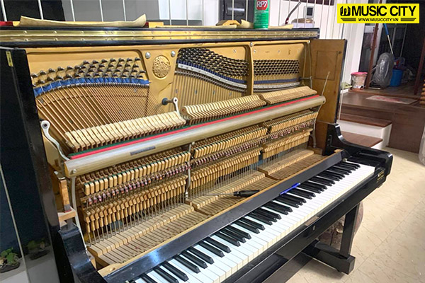 Music City – Tổng Kho Piano, Guitar, Organ | Dịch Vụ Giáo Dục Âm Nhạc