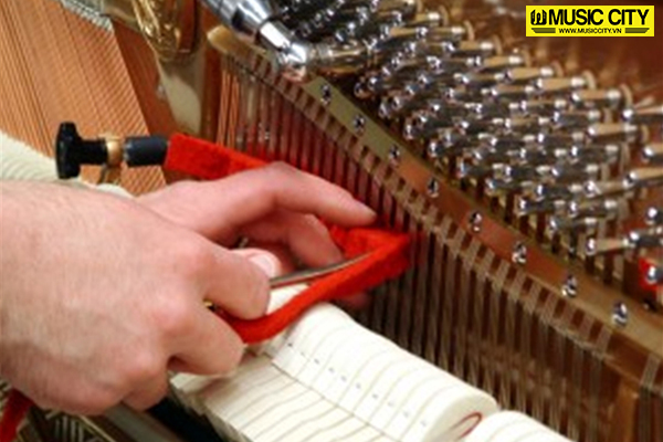 Music City – Tổng Kho Piano, Guitar, Organ | Dịch Vụ Giáo Dục Âm Nhạc