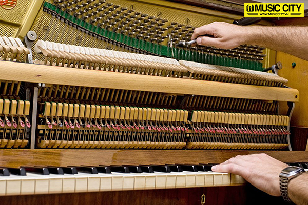 Music City – Tổng Kho Piano, Guitar, Organ | Dịch Vụ Giáo Dục Âm Nhạc