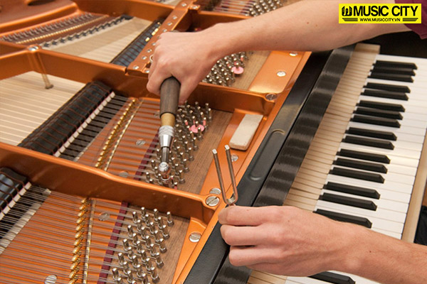 Music City – Tổng Kho Piano, Guitar, Organ | Dịch Vụ Giáo Dục Âm Nhạc