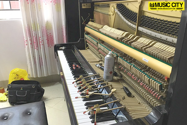 Music City – Tổng Kho Piano, Guitar, Organ | Dịch Vụ Giáo Dục Âm Nhạc