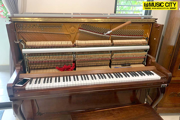 Music City – Tổng Kho Piano, Guitar, Organ | Dịch Vụ Giáo Dục Âm Nhạc