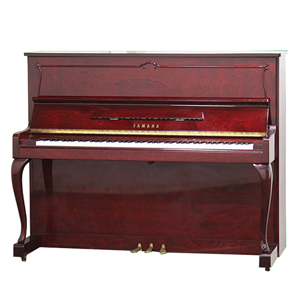 Music City – Tổng Kho Piano, Guitar, Organ | Dịch Vụ Giáo Dục Âm Nhạc