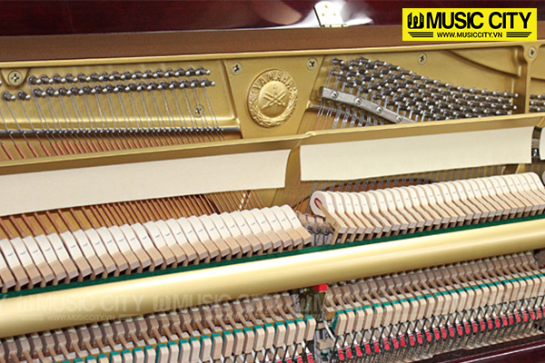 Music City – Tổng Kho Piano, Guitar, Organ | Dịch Vụ Giáo Dục Âm Nhạc
