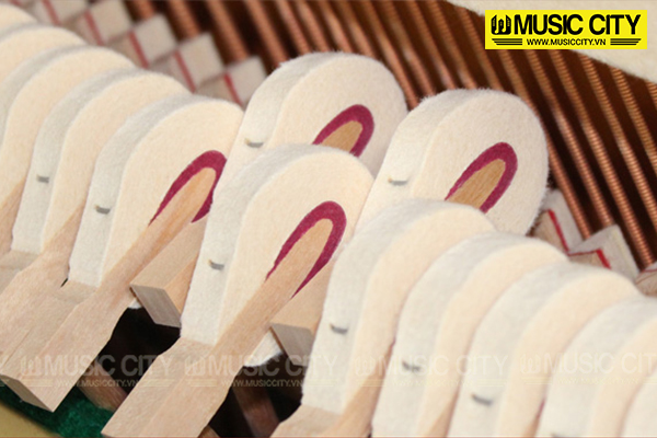 Music City – Tổng Kho Piano, Guitar, Organ | Dịch Vụ Giáo Dục Âm Nhạc