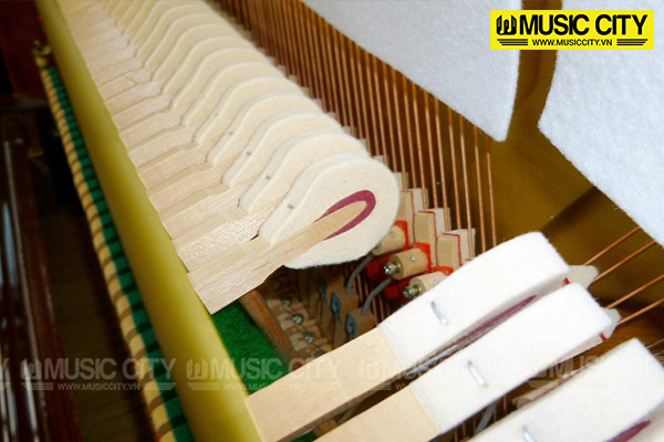 Music City – Tổng Kho Piano, Guitar, Organ | Dịch Vụ Giáo Dục Âm Nhạc