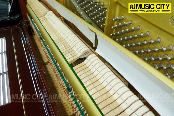 Music City – Tổng Kho Piano, Guitar, Organ | Dịch Vụ Giáo Dục Âm Nhạc