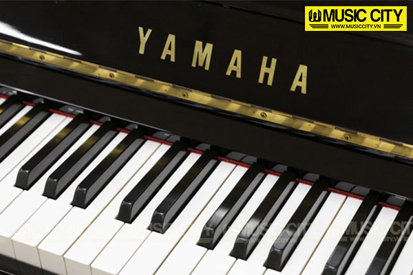 Music City – Tổng Kho Piano, Guitar, Organ | Dịch Vụ Giáo Dục Âm Nhạc
